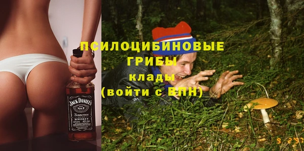spice Армянск