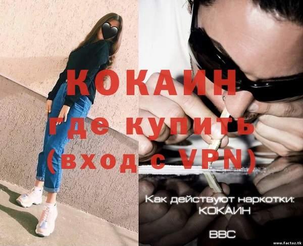 твердый Аркадак