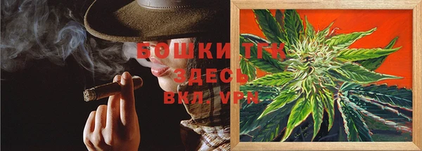твердый Аркадак
