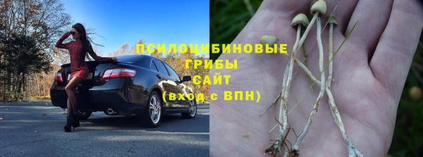 твердый Аркадак