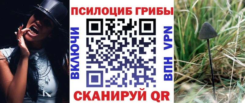 mega онион Канаш Галлюциногенные грибы ЛСД